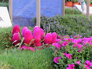 Temps de Flors 2016. Escales de la Catedral