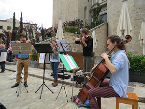 Temps de Flors 2016. Miscel·lània