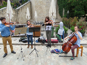 Temps de Flors 2016. Miscel·lània