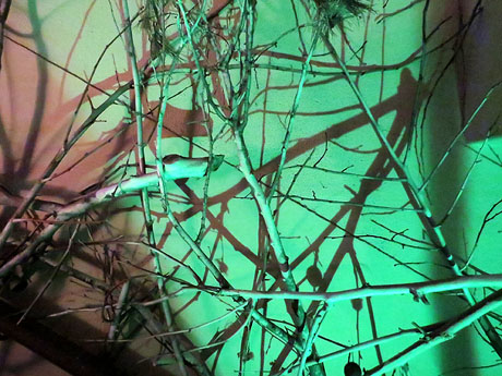 Temps de Flors 2016. Antic Cinema Modern