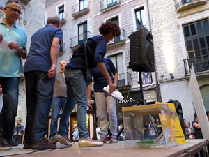 11 de setembre 2017. Concentració a la plaça del Vi en defensa del referèndum