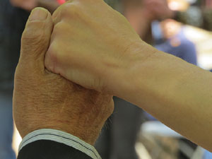 LX Aplec de la Sardana a Girona, als Jardins de la Devesa