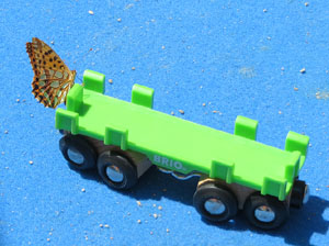 Festival Ludivers 2017. IV Festival del joc i les cultures de la imaginaci&oacute;