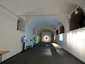 inund'ART 2017. Exposicions a la Casa de Cultura (Sala d'exposicions, planta baixa)