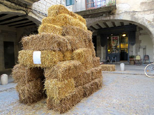 inund'ART 2017. Muntatges i instal&middot;lacions a diversos espais: pont de Pedra, Voltes d'en Ros&eacute;s, pla&ccedil;a de les Castanyes, la llera de l'Onyar