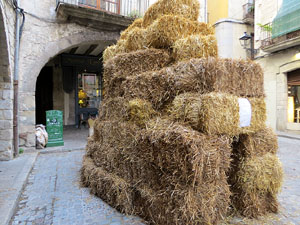 inund'ART 2017. Muntatges i instal&middot;lacions a diversos espais: pont de Pedra, Voltes d'en Ros&eacute;s, pla&ccedil;a de les Castanyes, la llera de l'Onyar