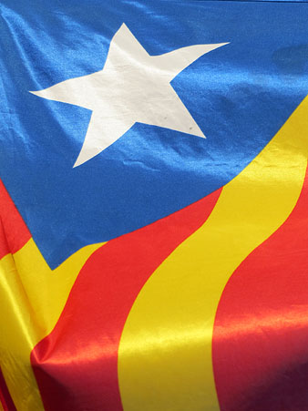 Estelada a la pla&ccedil;a Catalunya