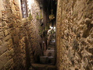 Nit dels Museus 2017. Càpsules de cinema al Call, al Museu d'Història dels Jueus