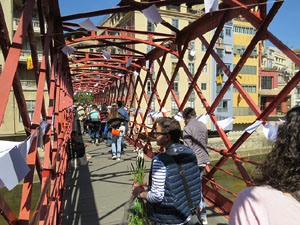 Sant Jordi 2017 a Girona. Activitat Estenem poesia, d'Òmnium Cultural del Gironès