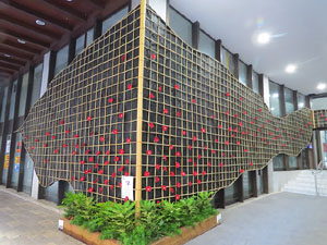 Temps de Flors 2017. Muntatges, instal&middot;lacions i exposicions florals a diversos espais del carrer Albareda