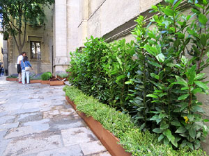 Temps de Flors 2017. Muntatges, instal&middot;lacions i exposicions florals a diversos espais del carrer Albareda