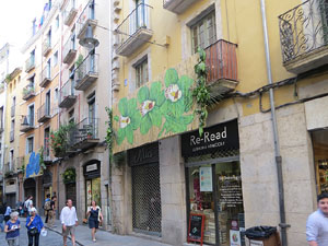 Temps de Flors 2017. Instal·lacions i muntatges florals al carrer Ballesteries