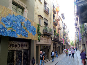 Temps de Flors 2017. Instal·lacions i muntatges florals al carrer Ballesteries