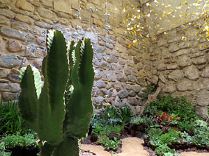 Temps de Flors 2017. Decoracions florals als diversos espais dels Banys Àrabs