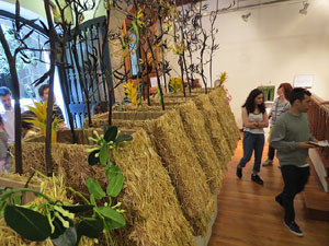 Temps de Flors 2017. Palau de Caramany