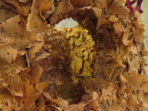 Temps de Flors 2017. Palau de Caramany