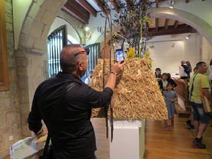 Temps de Flors 2017. Palau de Caramany