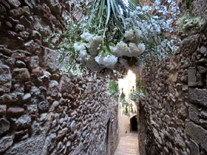 Temps de Flors 2017. Instal·lacions i muntatges als espais del carrer de la  Força, el de Sant Llorenç, carrer doctor Oliva i Prat, i pujada de la Font de la Pera