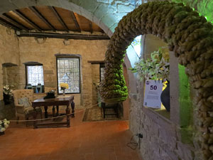 Temps de Flors 2017. Instal·lacions i muntatges florals als diversos espais de la Casa Laporta-Cúndaro