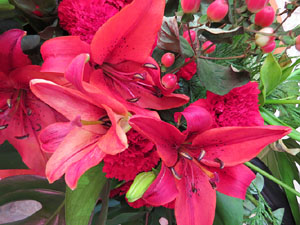 Temps de Flors 2017. Muntatges florals als claustres de la Catedral