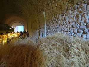Temps de Flors 2017. Decoracions florals als diversos espais dels Soterranis de la Catedral