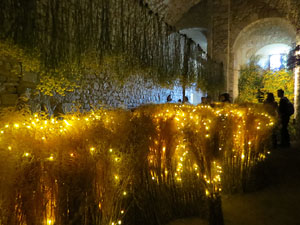 Temps de Flors 2017. Decoracions florals als diversos espais dels Soterranis de la Catedral