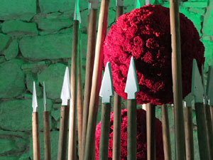 Temps de Flors 2017. Decoracions florals als diversos espais dels Soterranis de la Catedral