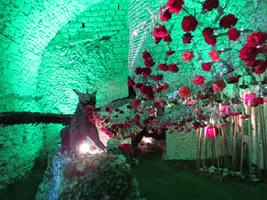 Temps de Flors 2017. Decoracions florals als diversos espais dels Soterranis de la Catedral