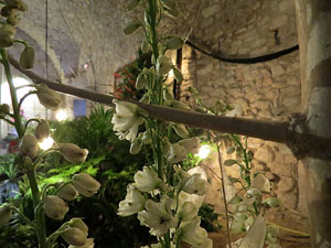 Temps de Flors 2017. Decoracions florals als diversos espais dels Soterranis de la Catedral