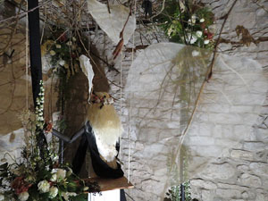 Temps de Flors 2017. Decoracions florals als diversos espais dels Soterranis de la Catedral