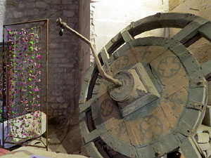 Temps de Flors 2017. Decoracions florals als diversos espais dels Soterranis de la Catedral