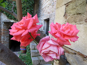 Temps de Flors 2017. Muntatge floral al Pati dels Rabins del Centre Bonastruc ça Porta, en memòria de Núria Terés