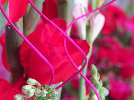 Temps de Flors 2017. Muntatges i instal&middot;lacions florals a l'entrada de l'Esgl&eacute;sia del Cor de Maria