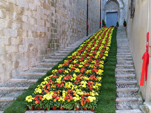 Temps de Flors 2017. Escalinates nord i principal de la basílica de Sant Feliu