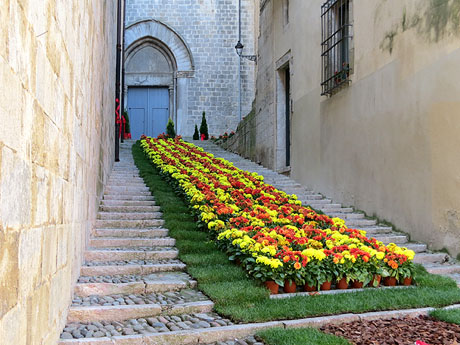 Temps de Flors 2017. Escalinates nord i principal de la basílica de Sant Feliu