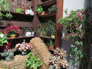 Temps de Flors 2017. Instal&middot;lacions i muntatges florals als diversos espais de l'Esgl&eacute;sia dels Dolors