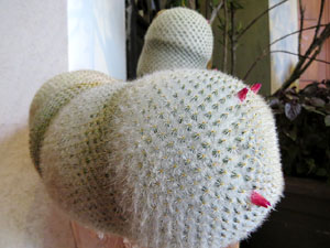 Temps de Flors 2017. Instal&middot;lacions i muntatges florals als diversos espais de l'Esgl&eacute;sia dels Dolors