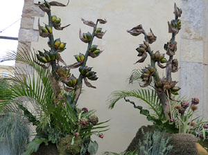 Temps de Flors 2017. Instal&middot;lacions i muntatges florals als diversos espais de l'Esgl&eacute;sia dels Dolors