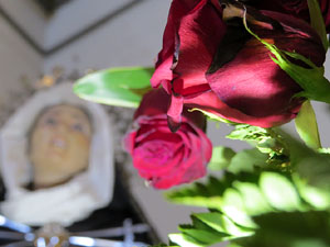 Temps de Flors 2017. Instal&middot;lacions i muntatges florals als diversos espais de l'Esgl&eacute;sia dels Dolors