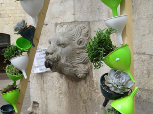 Temps de Flors 2017. Decoracions florals a les sis fonts del Barri Vell