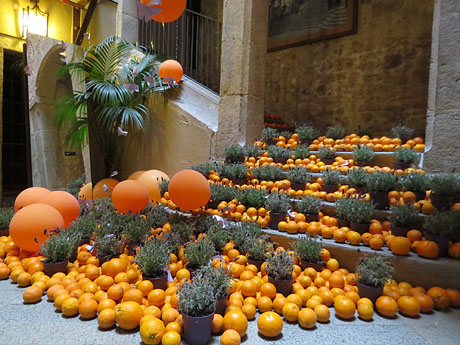 Temps de Flors 2017. Instal·lació Tarongina al pati de l'edifici de les Germanes Maria Gay