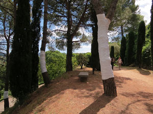 Temps de Flors 2017. Muntatge i instal&middot;laci&oacute; multim&egrave;dia a la Cisterna de la Torre Gironella