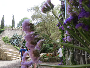 Temps de Flors 2017. Instal&middot;lacions i muntatges florals als jardins exteriors de la Torre Gironella