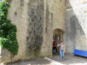 Temps de Flors 2017. Instal&middot;lacions i muntatges florals als jardins exteriors de la Torre Gironella