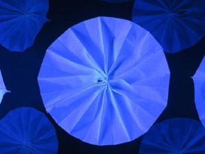 Temps de Flors 2017. Muntatges florals als diversos espais de la Casa Lle&oacute; Avinay, al Call jueu