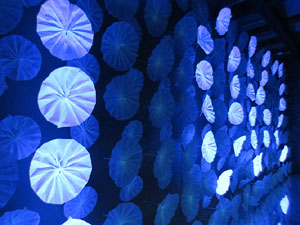 Temps de Flors 2017. Muntatges florals als diversos espais de la Casa Lle&oacute; Avinay, al Call jueu