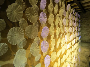 Temps de Flors 2017. Muntatges florals als diversos espais de la Casa Lle&oacute; Avinay, al Call jueu