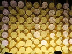 Temps de Flors 2017. Muntatges florals als diversos espais de la Casa Lle&oacute; Avinay, al Call jueu