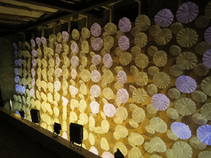 Temps de Flors 2017. Muntatges florals als diversos espais de la Casa Lle&oacute; Avinay, al Call jueu