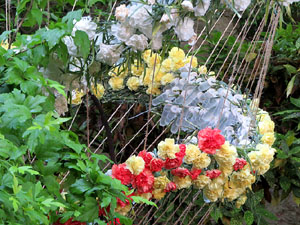 Temps de Flors 2017. Muntatges florals als diversos espais de la Casa Lle&oacute; Avinay, al Call jueu